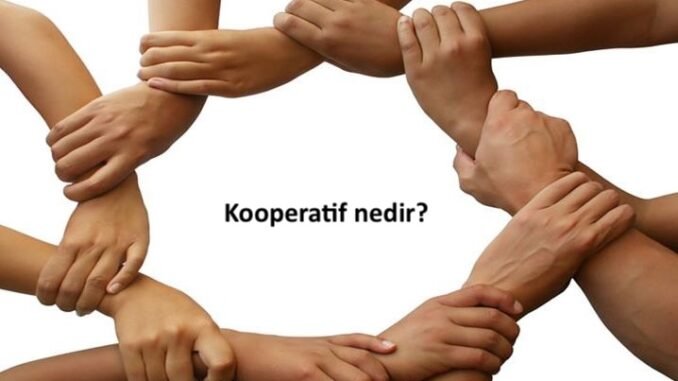 kooperatif-nedir